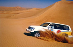 safari oasis tour in Egypt safari oasis tour in Egypt